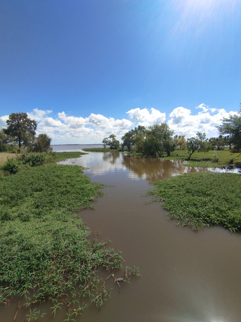 Fotografía de Luciana Tor Hahn